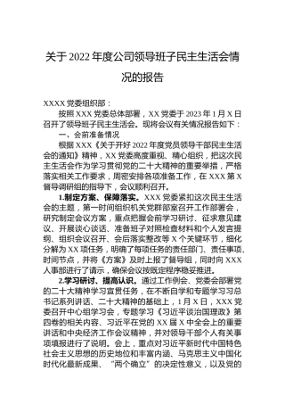 关于2022年度公司领导班子民主生活会情况的报告