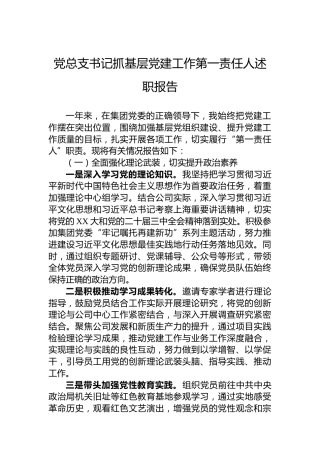 2024年党总支书记抓基层党建工作第一责任人述职报告