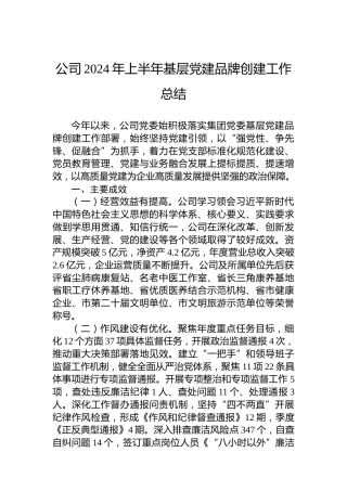 公司2024年上半年基层党建品牌创建工作总结
