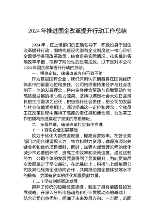 2024年推进国企改革提升行动工作总结