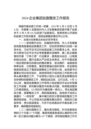 2024企业集团巡查整改工作报告