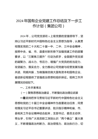 2024年国有企业党建工作总结及下一步工作计划（集团公司）