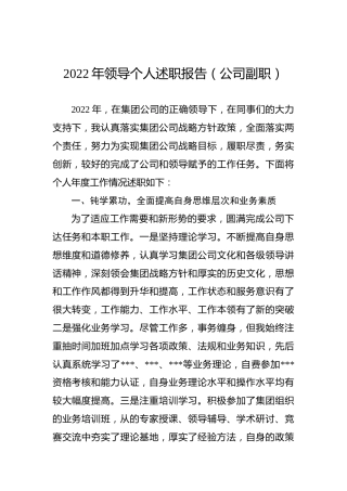 2022年领导个人述职报告（公司副职）