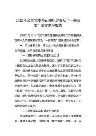2022年公司党委书记履职尽责及“一岗双责”落实情况报告
