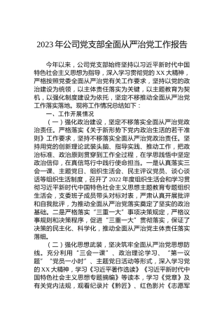 2023年公司党支部全面从严治党工作报告