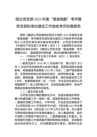 国企党支部2023年度“堡垒指数”考评暨党支部标准化建设工作验收考评自查报告