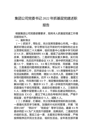 集团公司党委书记2022年抓基层党建述职报告
