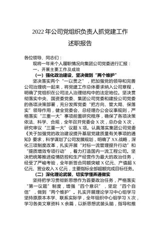 2022年公司党组织负责人抓党建工作述职报告