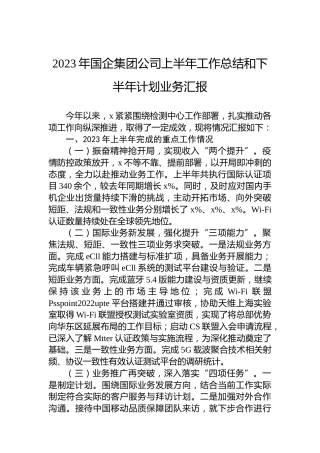 2023年国企集团公司上半年工作总结和下半年计划业务汇报