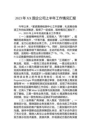 2023年XX国企公司上半年工作情况汇报