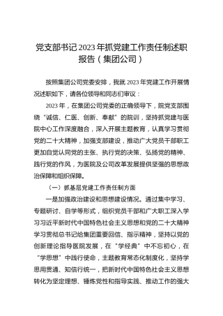 党支部书记2023年抓党建工作责任制述职报告（集团公司）