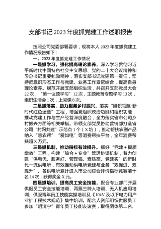支部书记2023年度抓党建工作述职报告