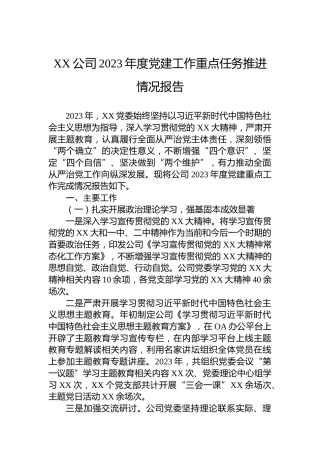 XX公司2023年度党建工作重点任务推进情况报告