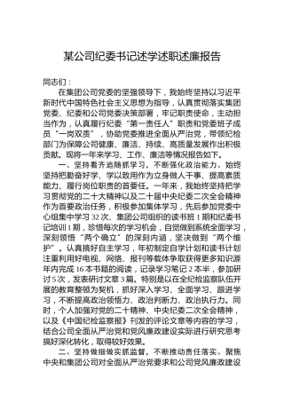 某公司纪委书记述学述职述廉报告