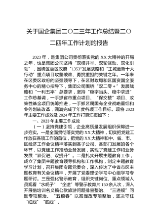 关于国企集团二〇二三年工作总结暨二〇二四年工作计划的报告