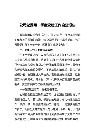 20XX年公司党委第一季度党建工作自查报告