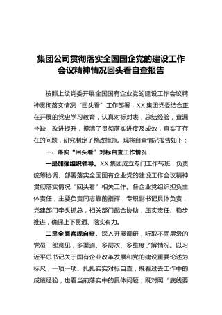 贯彻落实国企党的建设工作会议精神情况回头看自查报告