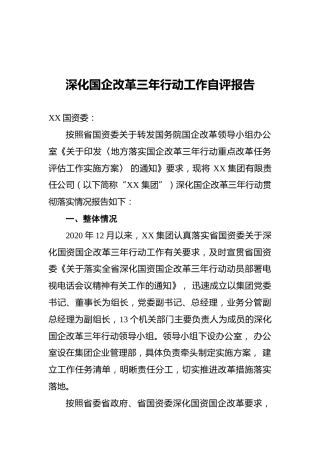 深化国企改革三年行动工作自评报告
