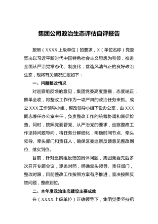 集团公司政治生态评估自评报告