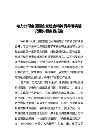 电力公司全国国企党建会精神贯彻落实情况回头看自查报告
