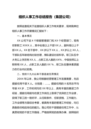 组织人事工作总结报告集团公司