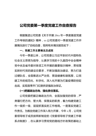 公司党委第一季度党建工作自查报告