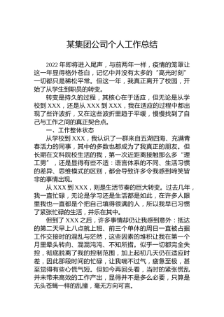 某集团公司个人工作总结