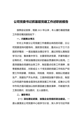 公司党委书记抓基层党建工作述职的报告