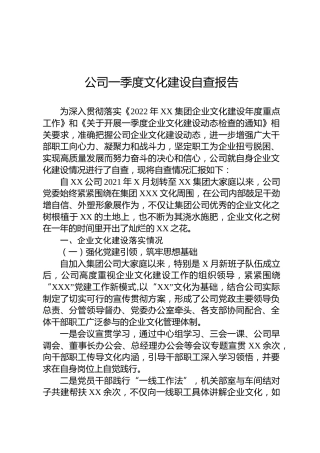 公司一季度文化建设自查报告