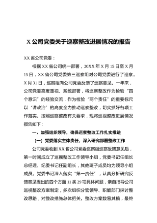 X公司党委关于巡察整改进展情况的报告