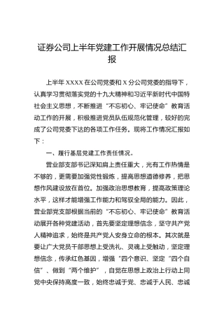 证券公司上半年党建工作开展情况总结汇报