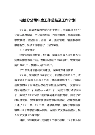 电信分公司年度工作总结及工作计划