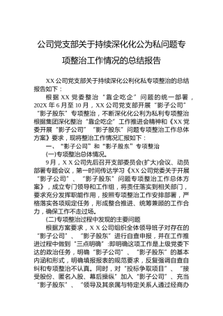 公司党支部关于持续深化化公为私问题专项整治工作情况的总结报告