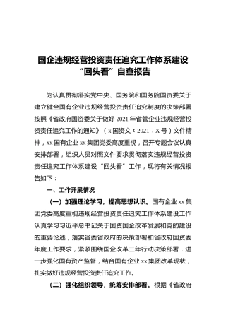 国企违规经营投资责任追究工作体系建设“回头看”自查报告