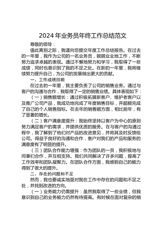 2024年公司业务员年终工作总结范文-2