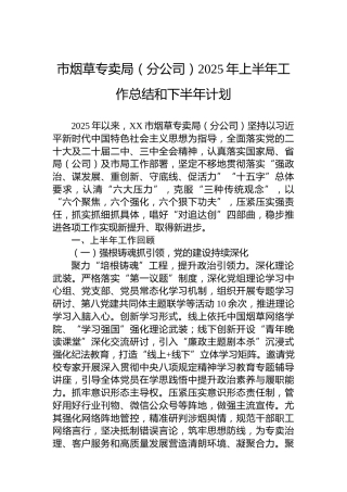 市烟草专卖局（分公司）2025年上半年工作总结和下半年计划