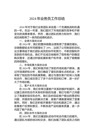 2024年业务员工作总结