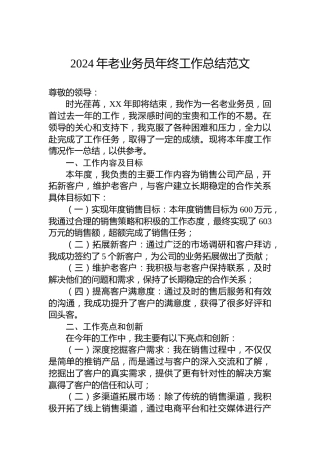 2024年老业务员年终工作总结范文