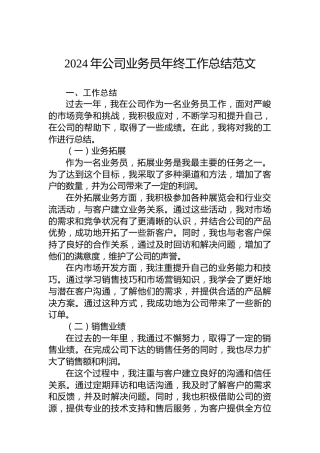 2024年公司业务员年终工作总结范文