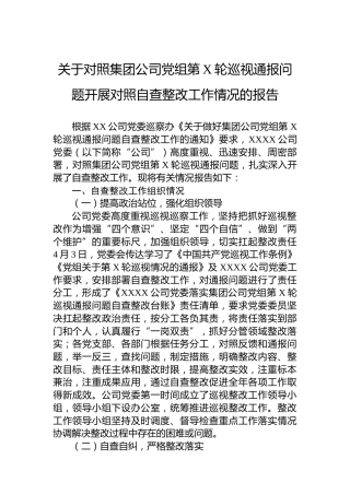 关于对照集团公司党组第X轮巡视通报问题开展对照自查整改工作情况的报告