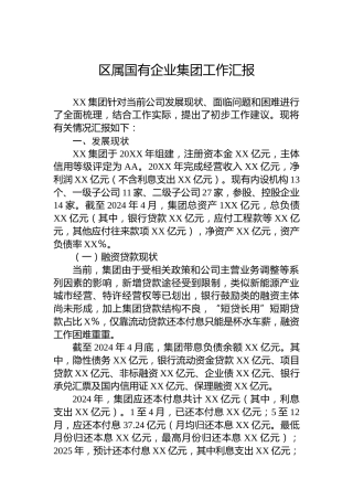 区属国有企业集团工作汇报