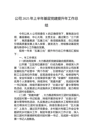 公司2025年上半年基层党建提升年工作总结
