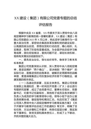 XX建设（集团）有限公司党委专题的总结评估报告