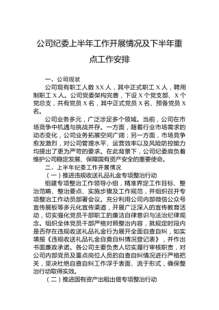公司纪委上半年工作开展情况及下半年重点工作安排