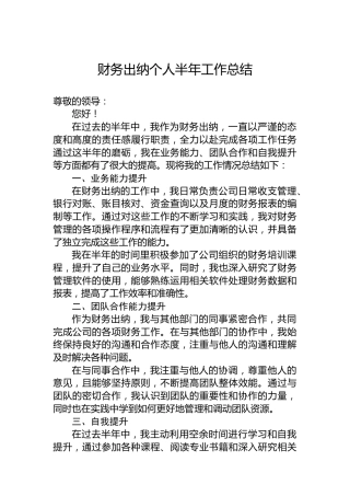 财务出纳个人半年工作总结