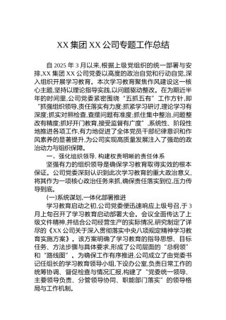 XX集团XX公司专题工作总结