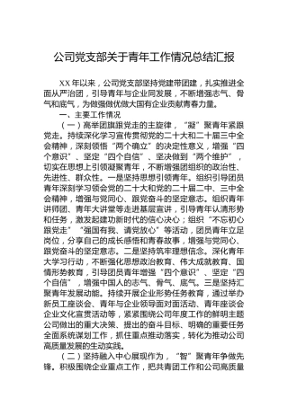 公司党支部关于青年工作情况总结汇报