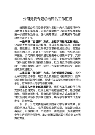 公司党委专题总结评估工作汇报