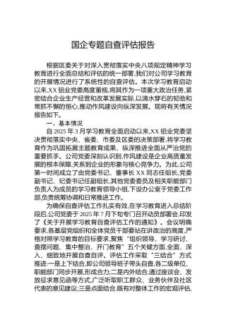 国企专题自查评估报告