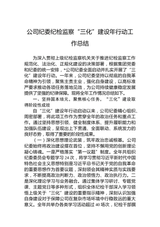公司纪委纪检监察“三化”建设年行动工作总结